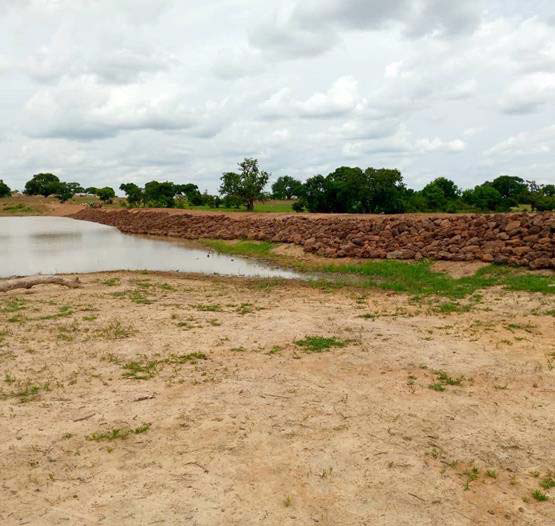 Nandom Irrigation Dams